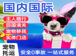 嫩江墨尔根国际宠物托运 【国